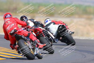 media/Oct-09-2022-SoCal Trackdays (Sun) [[95640aeeb6]]/Turn 14 Backside (1125am)/